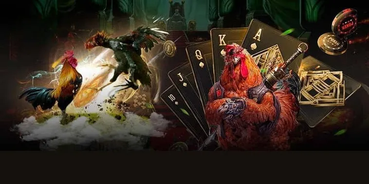 Đá Gà S666: Đấu Trường Kịch Tính Thu Hút Hàng Triệu Kê Thủ Việt Nam